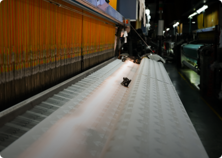 Rapier Loom